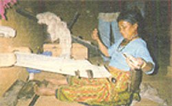 Avani